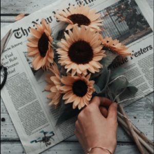 Meet your Posher, Morgan